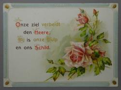Afbeelding 1 van 1